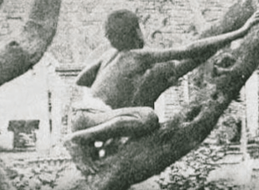 Hunters Kidnapped Him And Killed His Wolf Companion