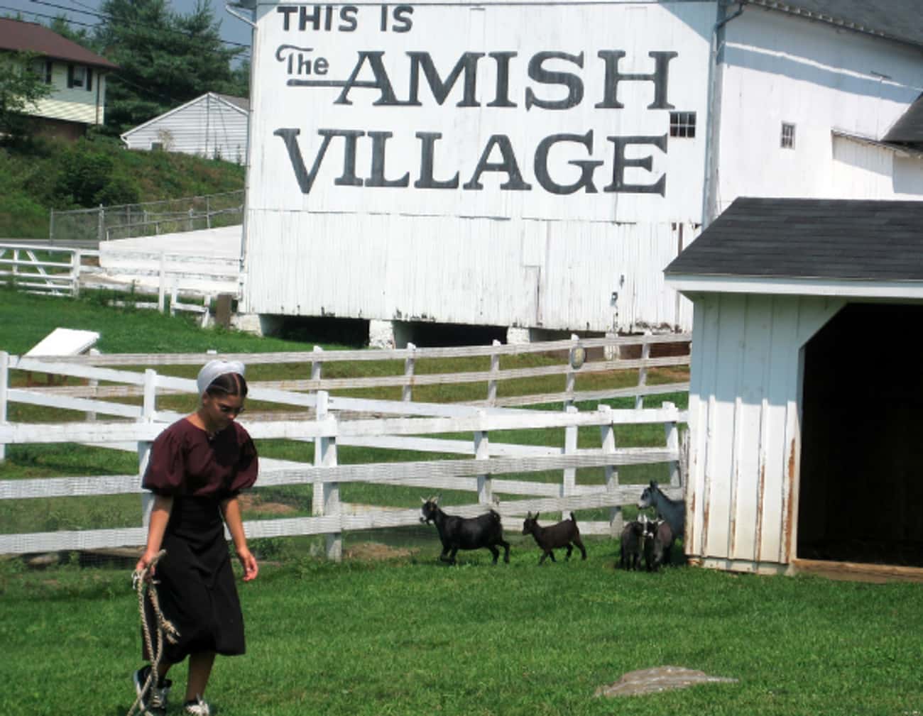 It Is Very Difficult To Integrate Into Society After Leaving The Amish Church