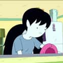 Marceline Has a Picture Of Princess Bubblegum On Her Fridge on Random Evidence That Princess Bubblegum And Marceline From Adventure Time Are More Than Just Friends