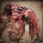 Blood Starved Beast is listed (or ranked) 11 on the list List of All Bloodborne Bosses Ranked Best to Worst