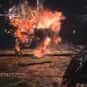 Watchdog of the Old Lords is listed (or ranked) 19 on the list List of All Bloodborne Bosses Ranked Best to Worst