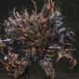 Abhorrent Beast is listed (or ranked) 12 on the list List of All Bloodborne Bosses Ranked Best to Worst