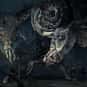 Ludwig, the Holy Blade is listed (or ranked) 1 on the list List of All Bloodborne Bosses Ranked Best to Worst