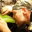 Securing Water Is First Priority on Random Survival Tips From Les Stroud