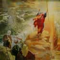 Drugs Can Be Instruments To Develop Religious Understanding on Random Historians Believe Moses May Have Been On Drugs