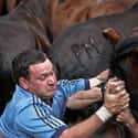 Rapa Das Bestas In Galicia, Spain on Random Barbaric Festivals That Should Be Banned For What They Do To Animals