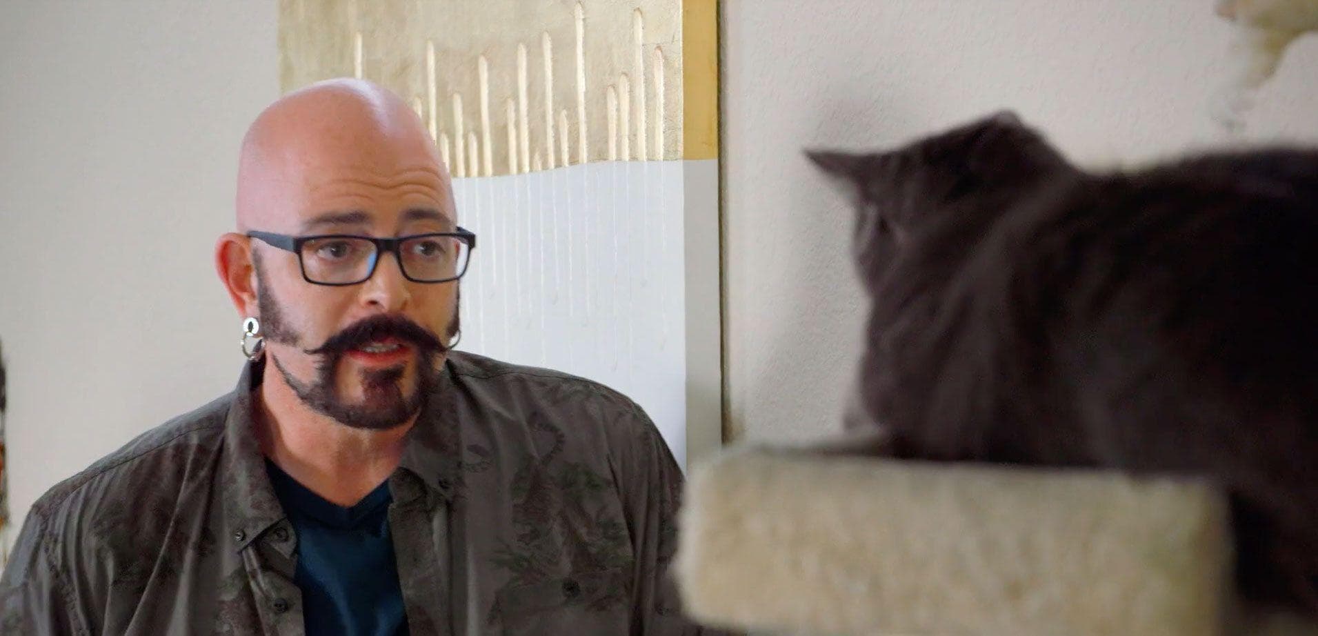 Jackson Galaxy Is Way Better Than Cesar Millan And We Can Prove It