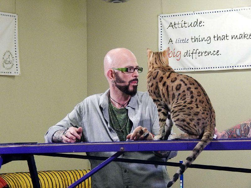 Jackson Galaxy Is Way Better Than Cesar Millan And We Can Prove It