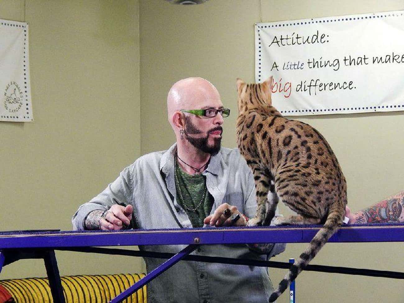 Jackson Galaxy Has A Relationship With Animals That Goes Far Beyond A Normal Trainer