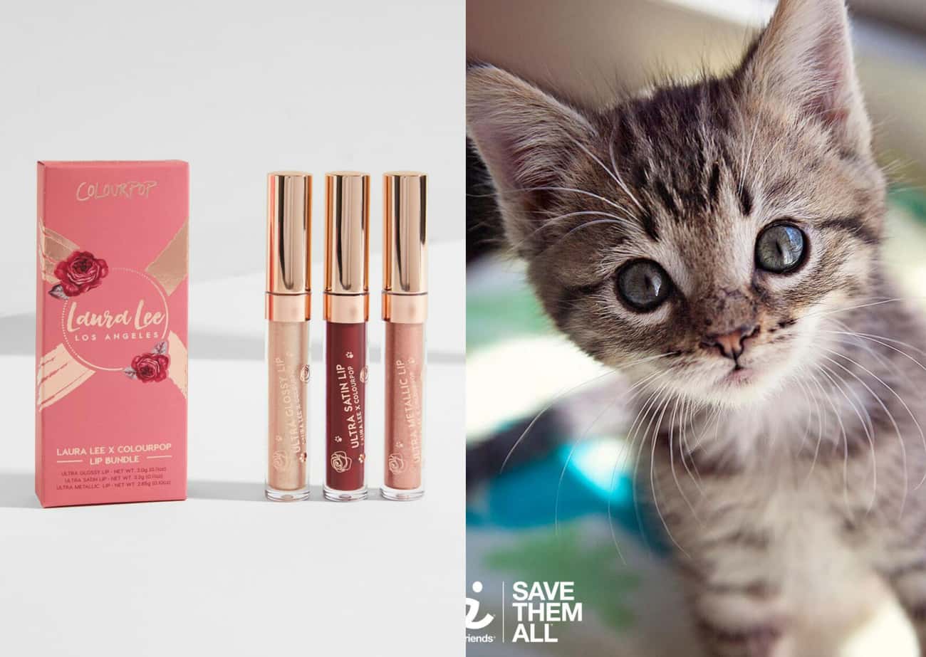 Colourpop&#39;s Makeup Helps Save The Lives Of Shelter Animals