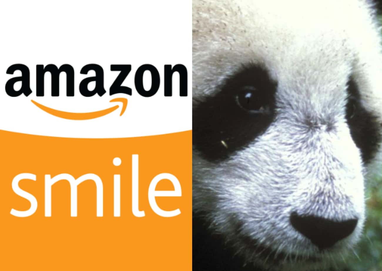 Amazon.com&#39;s AmazonSmile Offers Portions Of Donations To The World Wildlife Fund