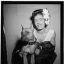 Her Second Husband Was A Mafia Enforcer on Random Unprecedented Rise And Tragic Death Of Billie Holiday