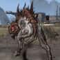 Scar is listed (or ranked) 11 on the list List of All Borderlands Bosses Ranked Best to Worst