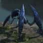 Queen Tarantella is listed (or ranked) 25 on the list List of All Borderlands Bosses Ranked Best to Worst