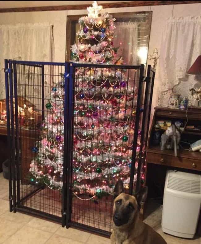 Image result for pictures of dog knocking over a christmas tree