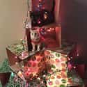 If You Can't Beat 'Em, Join 'Em on Random People Figured Out Genius Hacks To Protect Their Christmas Trees From Pets