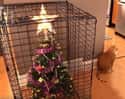 A Christmas Tree In The Pet Kennel on Random People Figured Out Genius Hacks To Protect Their Christmas Trees From Pets