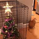 A Christmas Tree In The Pet Kennel on Random People Figured Out Genius Hacks To Protect Their Christmas Trees From Pets