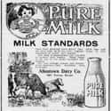Swill Cows Produced Discolored Milk on Random In 1850s, An Epidemic Caused By Milk Killed Nearly 8,000 Babies