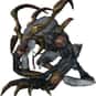 Dark Ifrit is listed (or ranked) 25 on the list List of All Final Fantasy 10 Bosses Ranked Best to Worst