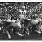 Hal Brandt is listed (or ranked) 23 on the list The Best Wisconsin Badgers Quarterbacks of All Time