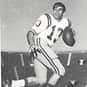 Mike Hillman is listed (or ranked) 20 on the list The Best LSU Tigers Quarterbacks of All Time