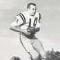 Nelson Stokley is listed (or ranked) 17 on the list The Best LSU Tigers Quarterbacks of All Time