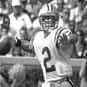 Jesse Daigle is listed (or ranked) 27 on the list The Best LSU Tigers Quarterbacks of All Time