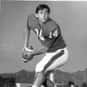Mark Reed is listed (or ranked) 12 on the list The Best Arizona Wildcats Quarterbacks of All Time