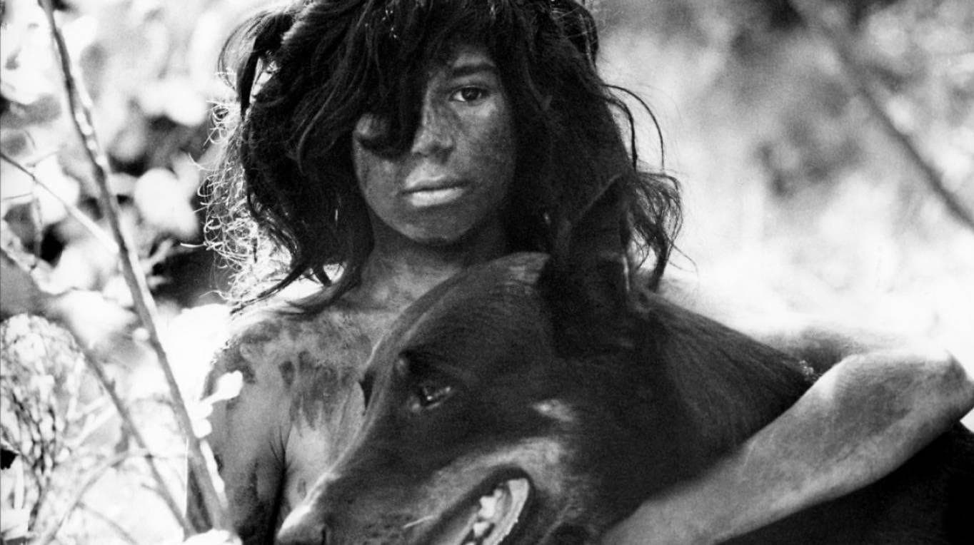 Человек воспитанный волками. Камала и амала индия 1920 год. Дино саничар настоящий маугли. Волк воспитанный людьми. Волк воспитанный людьми.