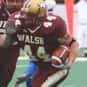 Bob Kench is listed (or ranked) 21 on the list The Best Central Michigan Chippewas Quarterbacks of All Time