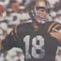 Mark Vitali is listed (or ranked) 21 on the list The Best Purdue Boilermakers Quarterbacks of All Time