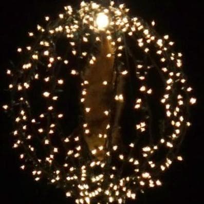 Possums Are Dropped In Tallapoosa, GA