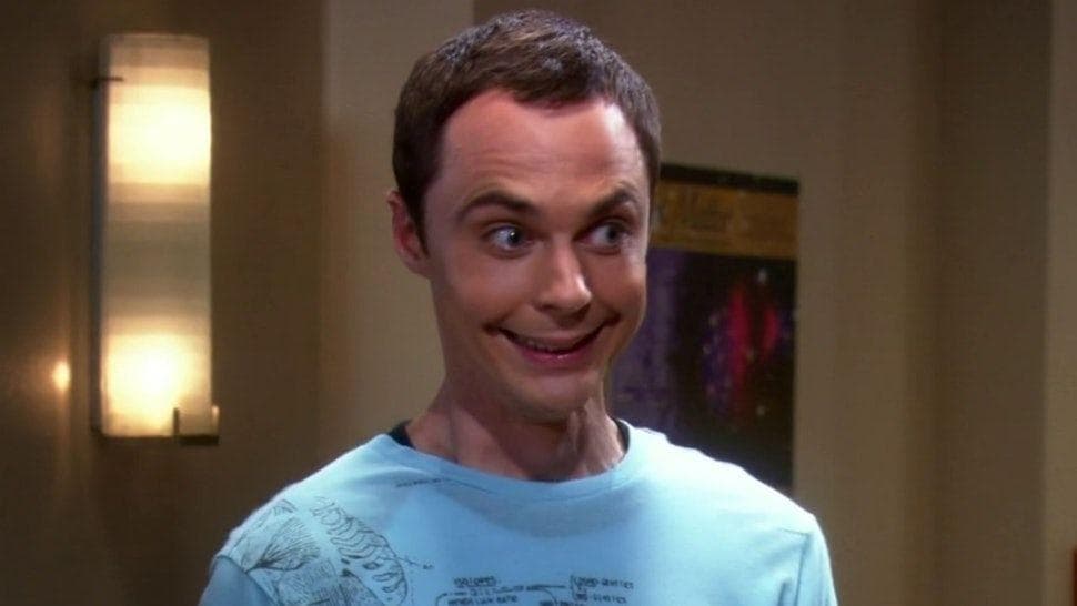 Sheldon Is In A Mental Institution, And The Show Only Takes Place In His Head