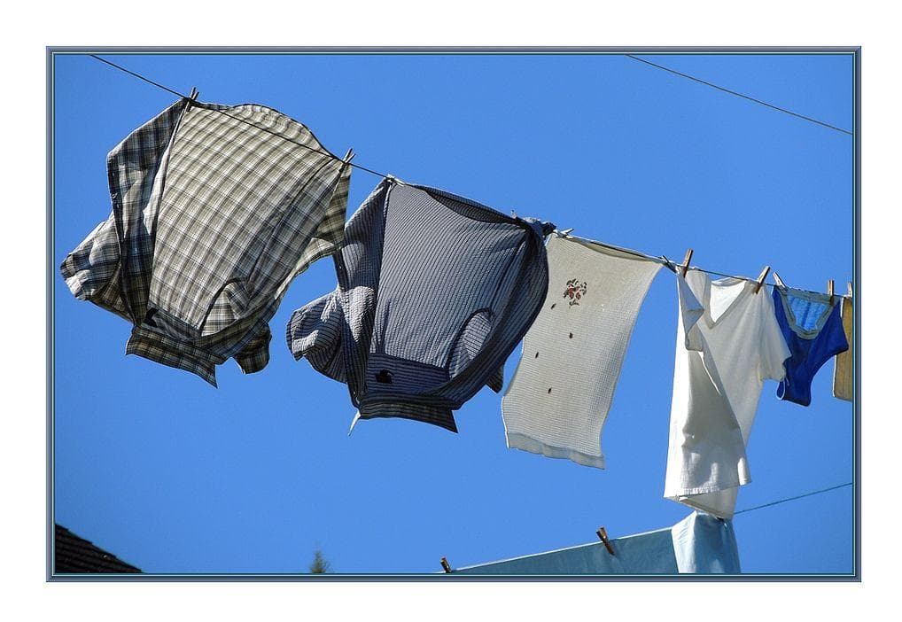 12 Products You Didn't Know Contained Animals Byproducts