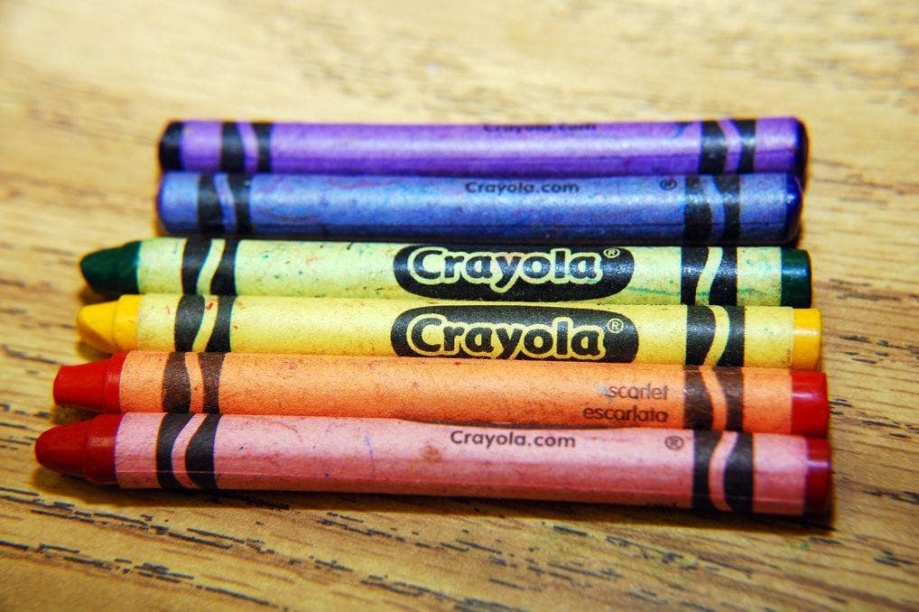 12 Products You Didn't Know Contained Animals Byproducts