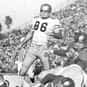Ray Groth is listed (or ranked) 30 on the list The Best Utah Utes Quarterbacks of All Time