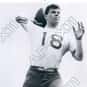 Kenny Lucas is listed (or ranked) 18 on the list The Best Pittsburgh Panthers Quarterbacks of All Time