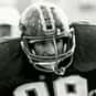 Dave Halverm is listed (or ranked) 19 on the list The Best Pittsburgh Panthers Quarterbacks of All Time