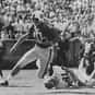 Joe Anderson is listed (or ranked) 25 on the list The Best Clemson Tigers Quarterbacks of All Time