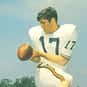 Billy Ammons is listed (or ranked) 28 on the list The Best Clemson Tigers Quarterbacks of All Time