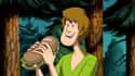 Shaggy Is A Pothead on Random Dark Scooby-Doo Fan Theories