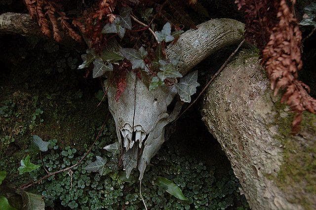 The Ancient Ram Is Britain's Most Haunted Inn, And It's Crawling With ...