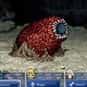 Abyss Worm is listed (or ranked) 2 on the list List of All Final Fantasy VI Bosses Ranked Best to Worst