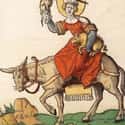 'The Song Of The Ass' Was About A Donkey on Random Things of The Medieval Feast Of Fools Was So Extreme Catholic Church Was Forced To Ban It