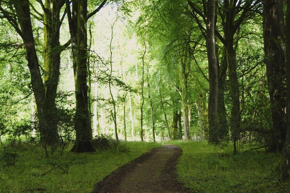 The Creepy Story of Mark Branch, The Friday The 13th Copycat Killer