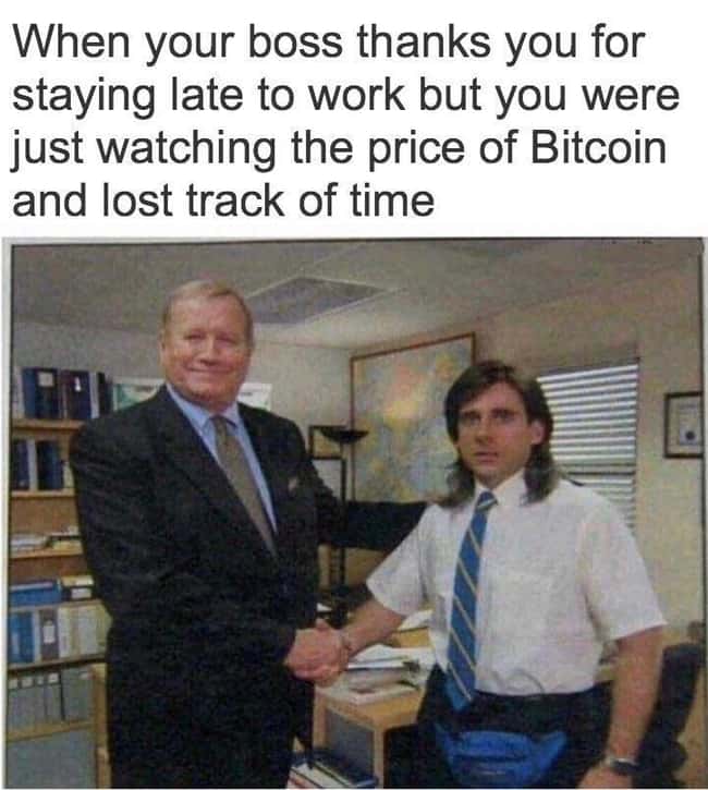 meme.jpg