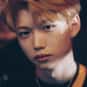 Felix is listed (or ranked) 41 on the list The Hottest Guys in K-pop
