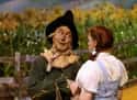 The Scarecrow Represents Midwestern Farmers on Random Secret Political Symbolism You Never Knew Was Hidden Within Wizard Of Oz