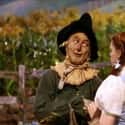 The Scarecrow Represents Midwestern Farmers on Random Secret Political Symbolism You Never Knew Was Hidden Within Wizard Of Oz